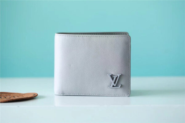 Louis Vuitton Multiple Wallet 12cm