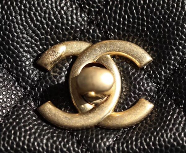 Chanel Coco Handle Quilted Lizard Handle Bag 24cm Caviar Leather Gold Hardware Spring/Summer Act 1 Collection, Black/Red - Image 4