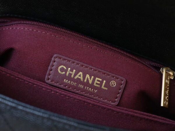 Chanel Coco Handle Quilted Lizard Handle Bag 24cm Caviar Leather Gold Hardware Spring/Summer Act 1 Collection, Black/Red - Image 10
