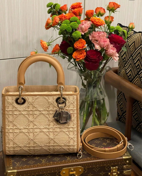 Christian Dior Medium Lady Dior Bag 24cm Brown - Image 9