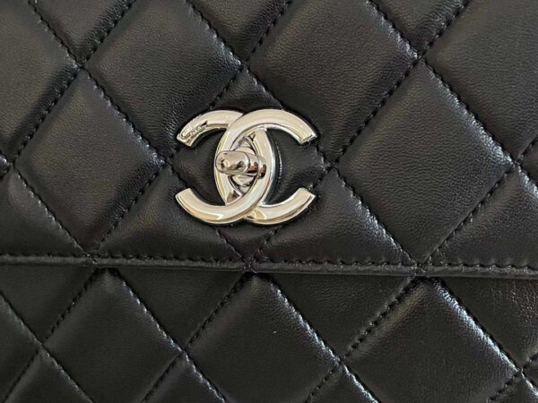 Chanel Classic Flap Bag Silver Hardware 25cm Black - Image 3