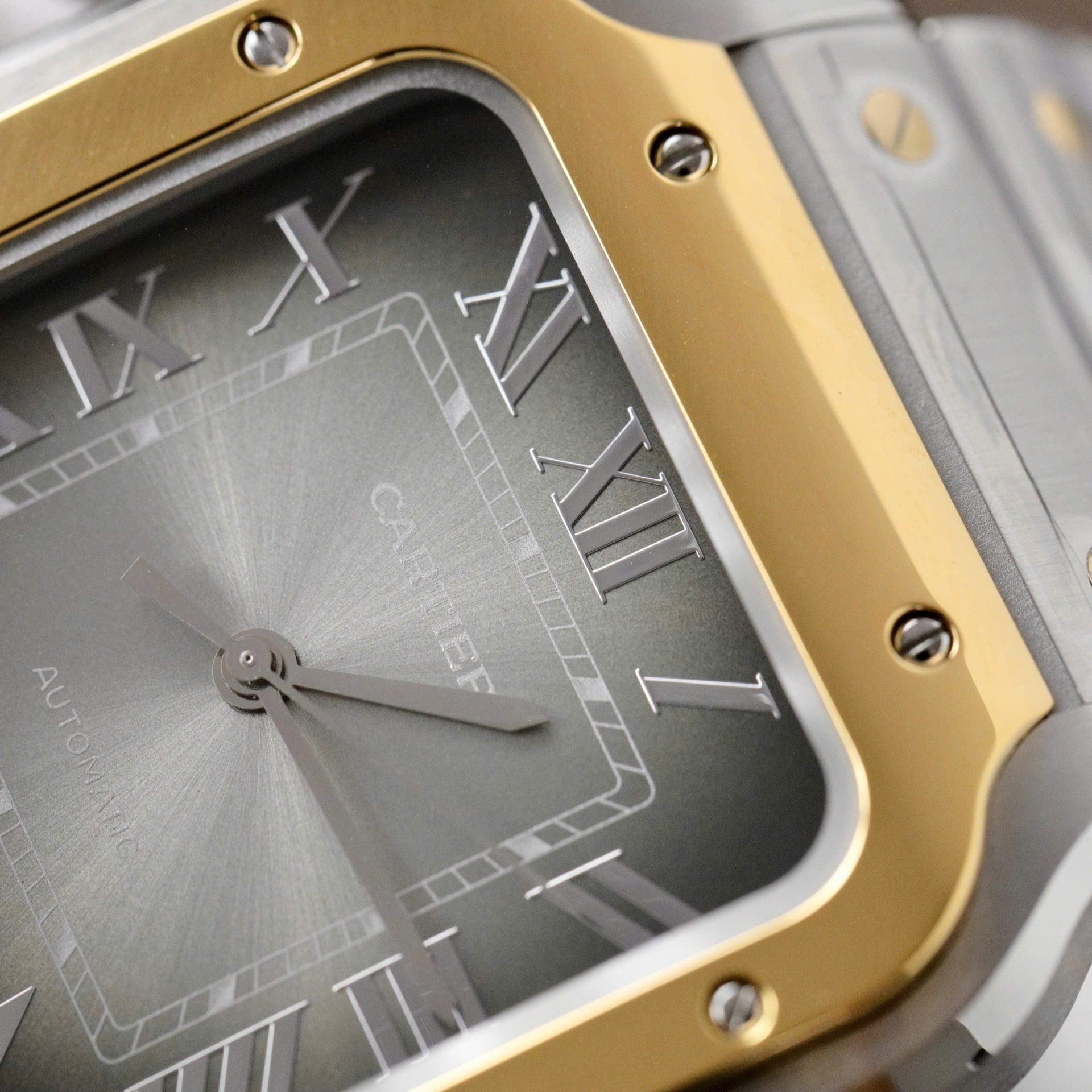 Cartier Santos CRW2SA0030 Watch Gray Dial 39.8mm - Image 6